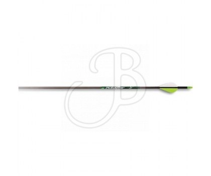 CARBON EXPRESS ARROW TERMINATOR PTX